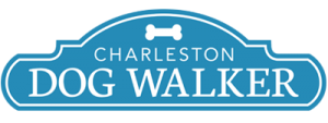 Charleston Dog Walker